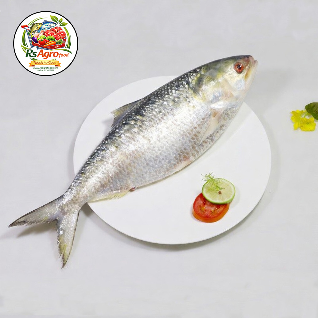 ilish 1