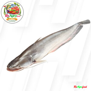 River Boal Fish -Processed (Include Head Pieces)