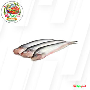 Pabda(পাবদা) Processed