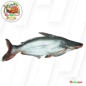 স্বামুদ্রিক পাঙ্গাশ Processed